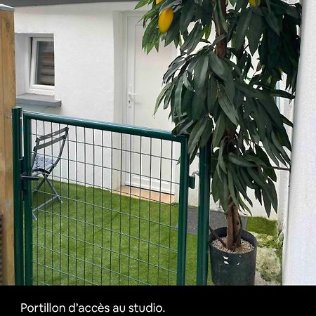 Le Patio Studio-Terrasse Montbeliard-Centre Buitenkant foto